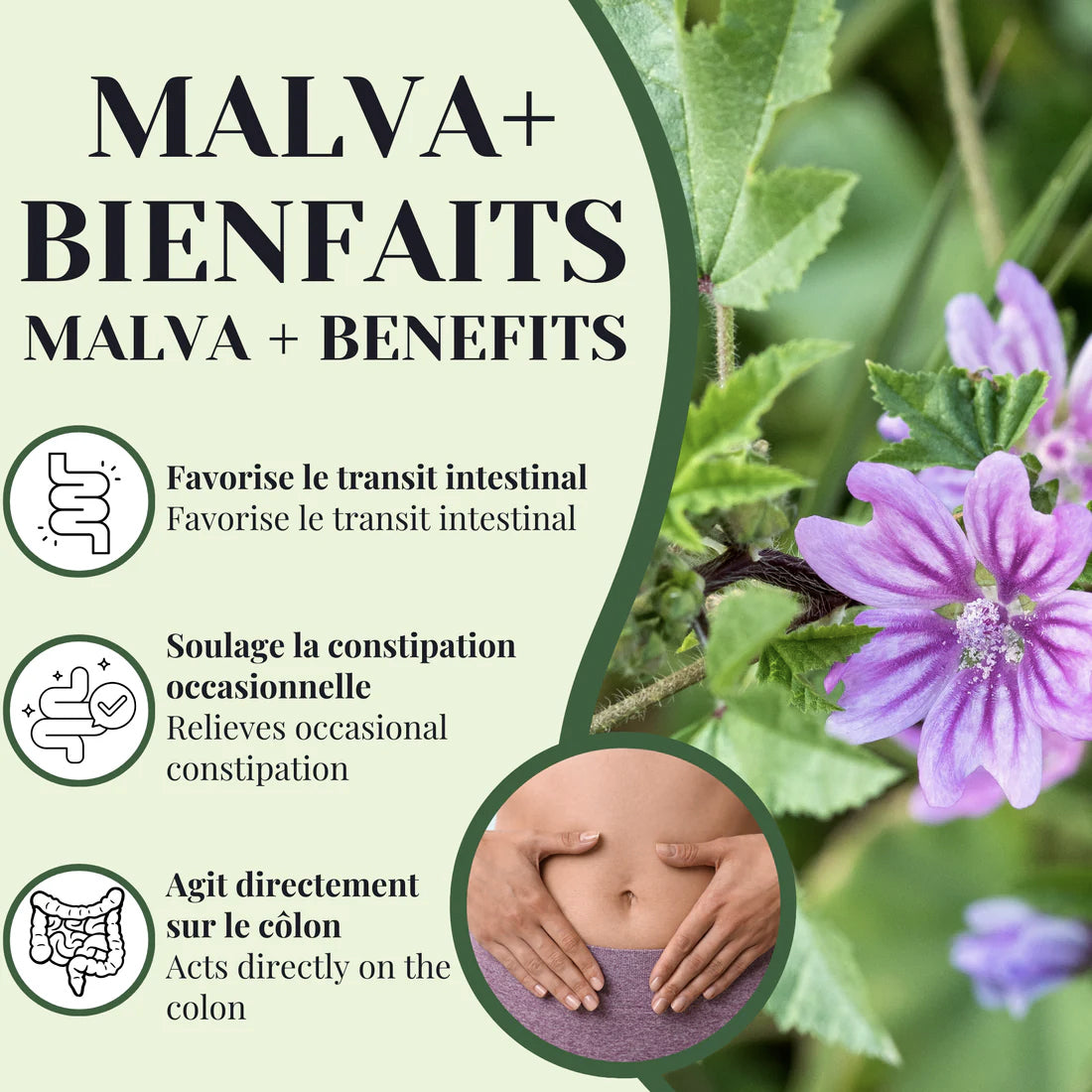 Tisane Malva + Séné - Laxatif - Phytovie - 25 sachets