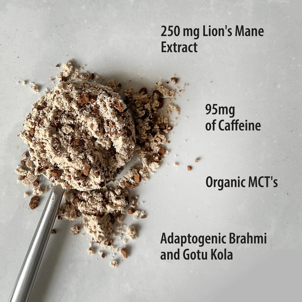 Concentration Plus - Focus Fuel - Café instantanné aux champignons - Organic Traditions - 140g