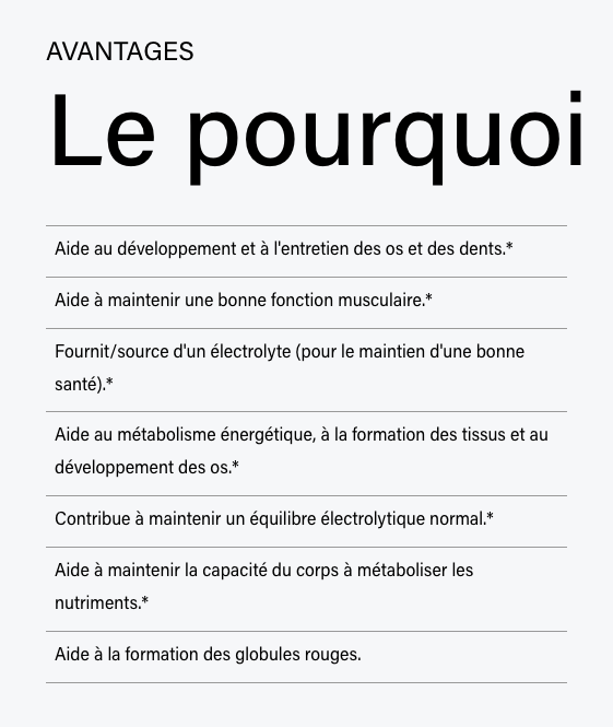 Synermag - ATP Lab - 90 capsules