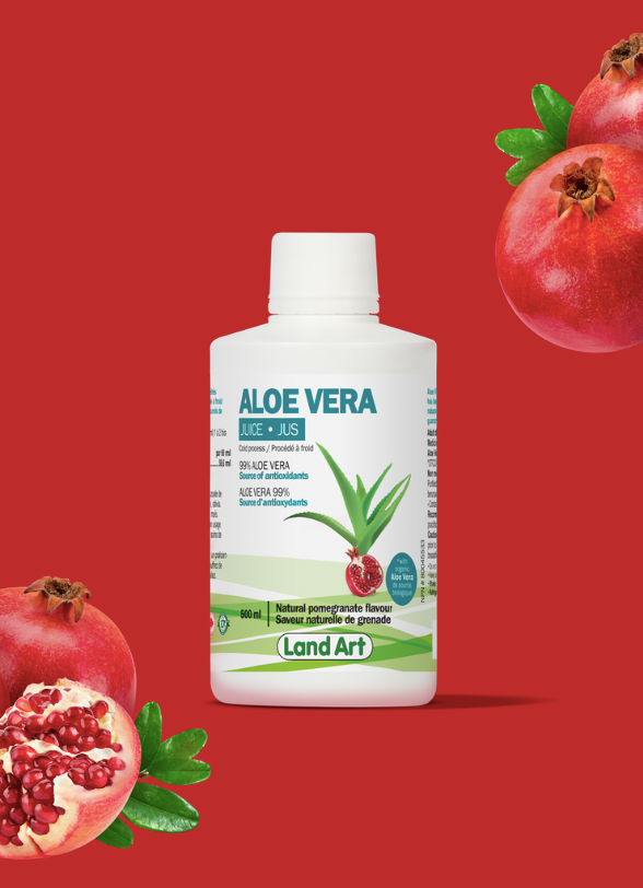 Aloe Vera - Jus - Grenade - Land Art - 500ml