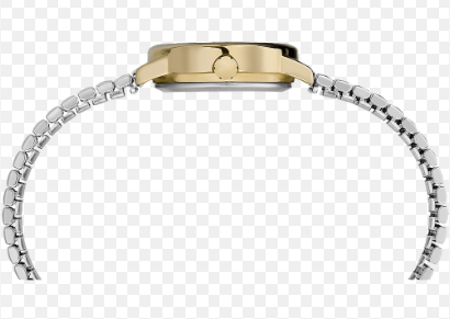 Montre Timex pour femmes T2H381