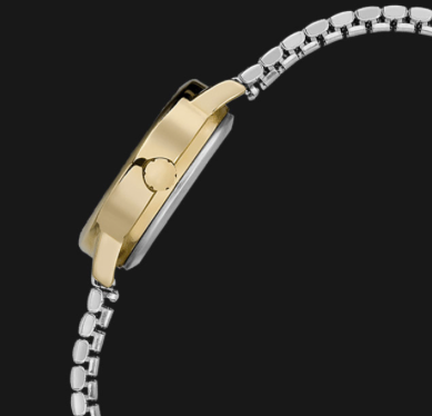 Montre Timex pour femmes T2H381