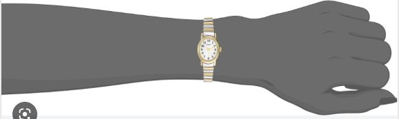 Montre Timex pour femmes T2M570