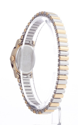 Montre Timex pour femmes T2M570
