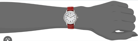 Montre Timex pour femmes TW2P68700