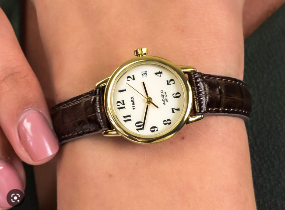 Montre Timex pour femmes T20071