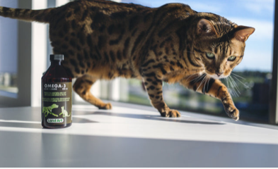 Omega 3 Supplément Liquide pour animaux - 250ml - Land Art