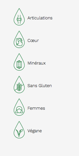 Silica Ionique - 500ml - Citron et Lime - Land Art