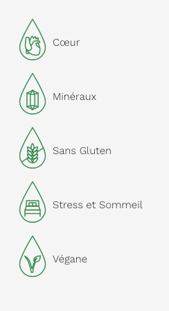 Magnésium ionique - Supplément liquide 250ml - Cerise - Land Art