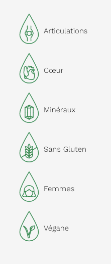 Silica Colloïdale - Supplément liquide 500ml - Orange & Pomme - Land Art