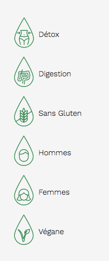 Chlorophylle - Liquide 500ml - Menthe - Land Art