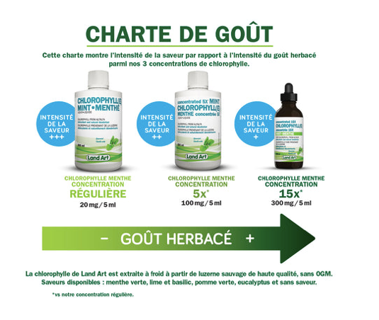 Chlorophylle régulière - Land Art - 500ml - Menthe