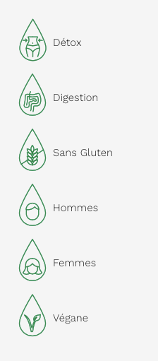 Chlorophylle 5X - Liquide 500ml - Pomme - Land Art