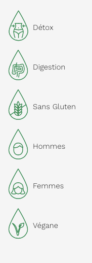 Chlorophylle - Liquide 500ml - Eucalyptus - Land Art