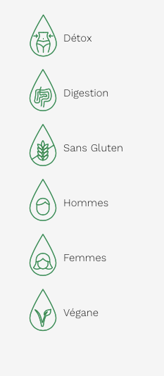 Chlorophylle 5X - Liquide 500ml - Nature - Land Art