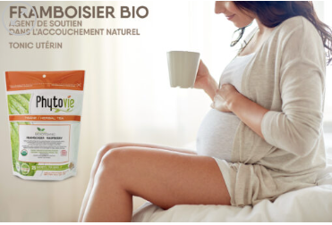 Tisane Framboisier - Phytovie