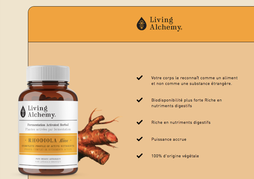 Rhodiola - Soutien à l'endurance et à l'énergie - Living Alchemy - 60 capsules