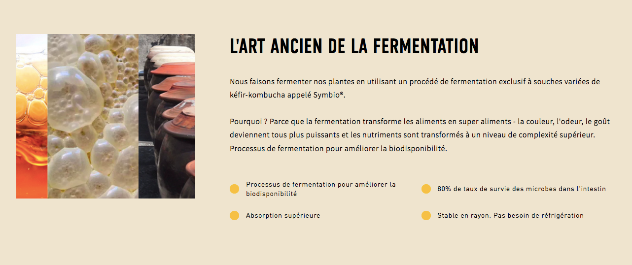 Chardon-Marie - Living Alchemy - 60 capsules ou 120 capsules