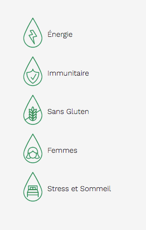 Ginseng Gelée Royale - Liquide 500ml - Miel & Citron - Land Art