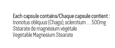 Chaga 500mg - Alterra - Herbasanté - 90 capsules