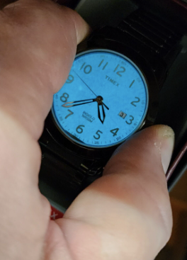 Montre Timex pour hommes T2P135