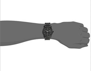 Montre Timex pour hommes T2P135