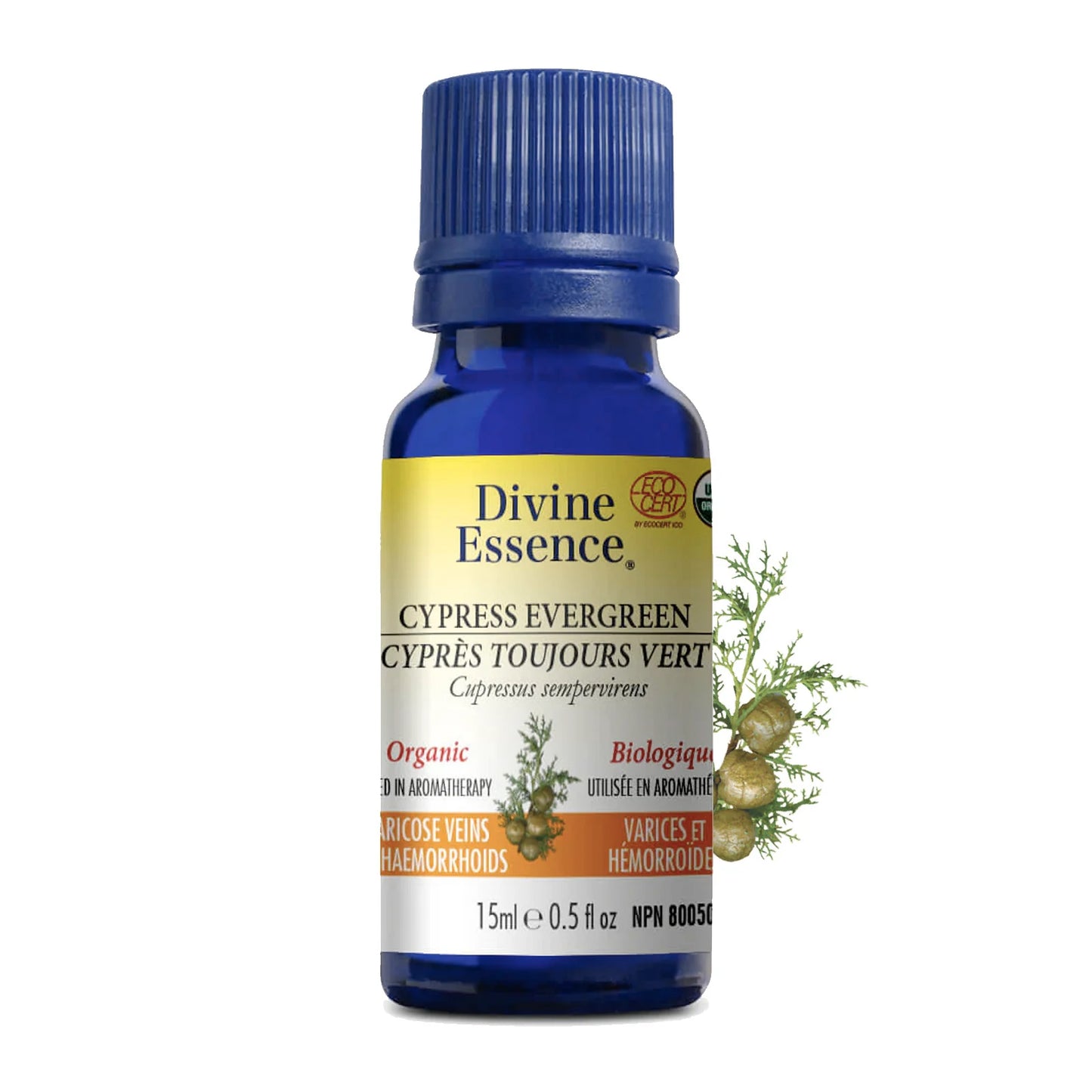 Huile Essentielle - Cyprès Toujours Vert biologique - Divine Essence - 15ml