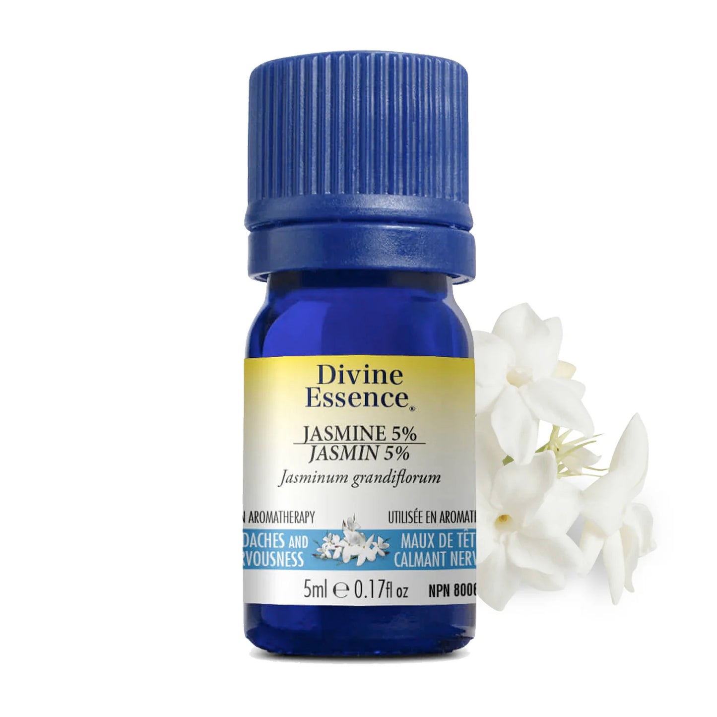 Huile Essentielle - Jasmin 5% Absolue - Divine Essence - 5ml