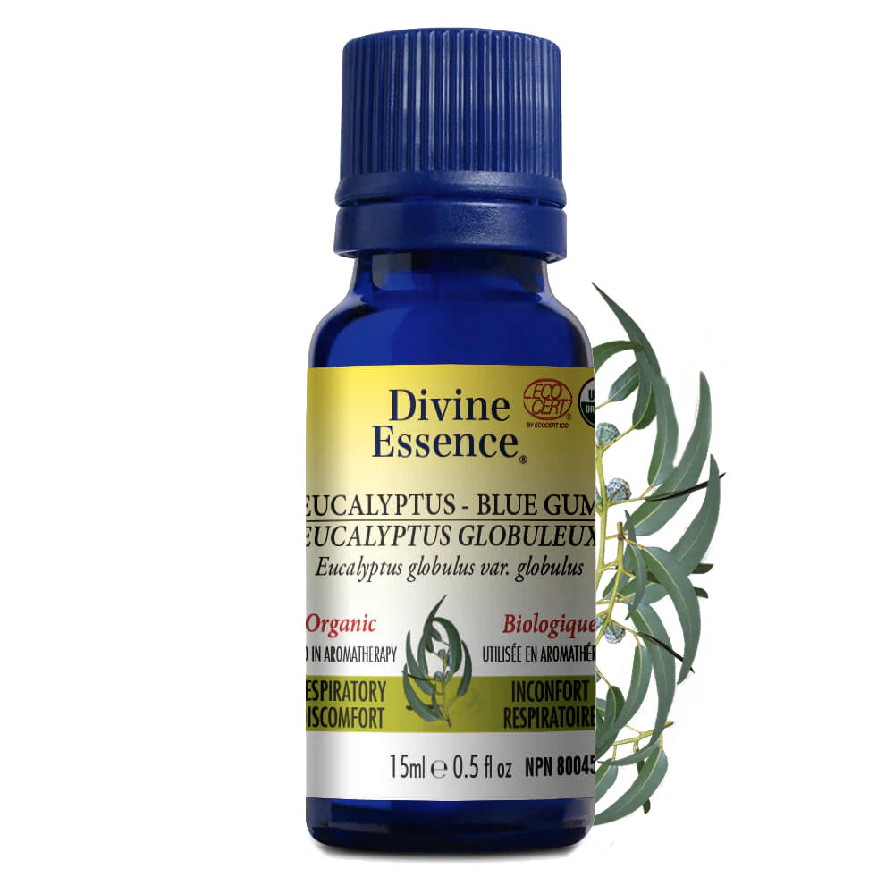 Huile essentielle d'Eucalyptus Globuleux - Divine Essence - 15ml ou 30ml