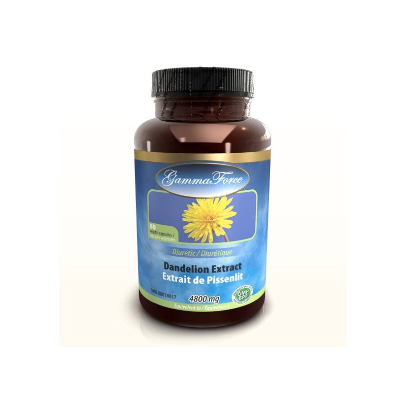 Extrait de pissenlit (extrait racine 10:1) - 480mg - Gamma Force - 60 capsules