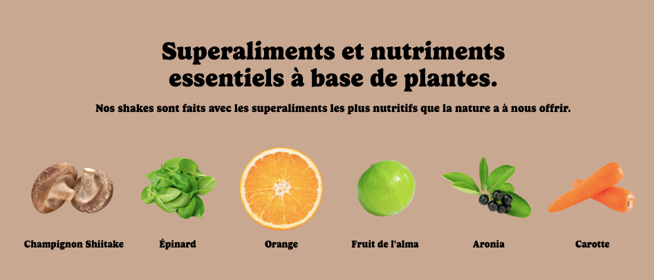 Protéines végétales - Boisson tout-en-un - Fudge au chocolat- Good Protein - 2 formats