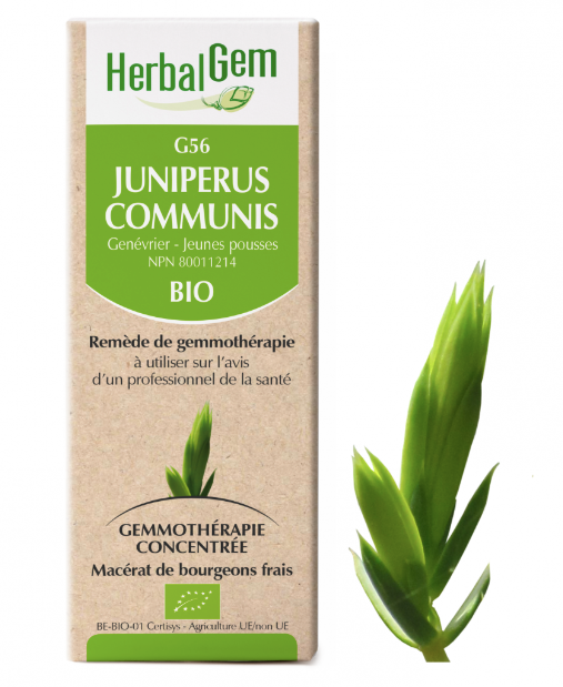 G56 - Juniperus Communis - Herbalgem - 15ml