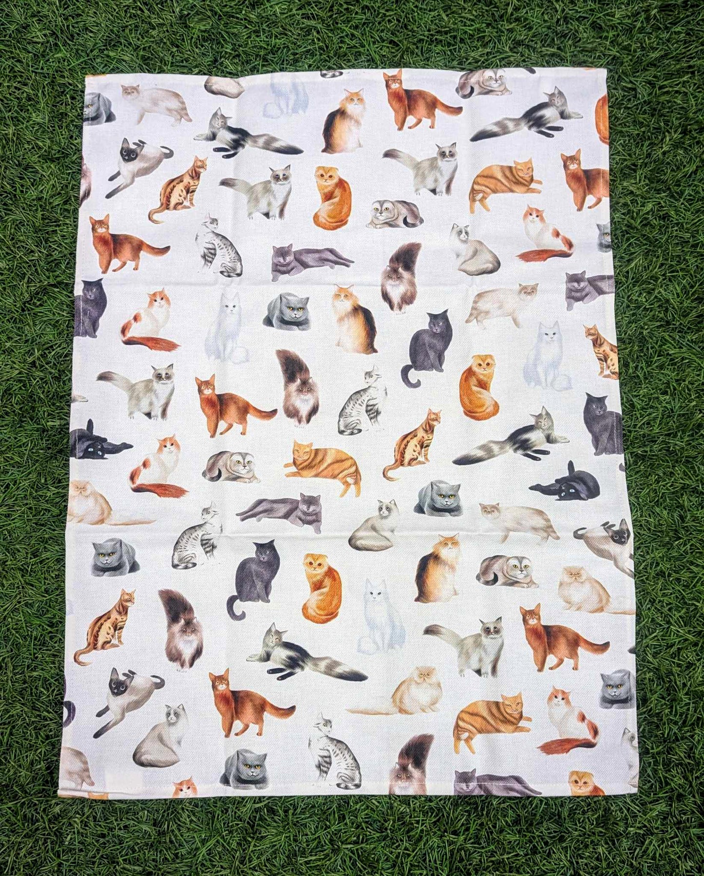 Linge à vaisselle 100% coton - Les Chats