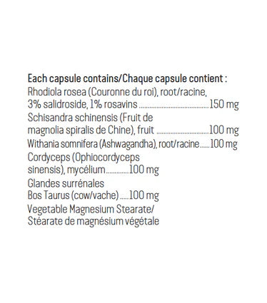 Adrenergy - Alterra / Herbasanté - 90 capsules