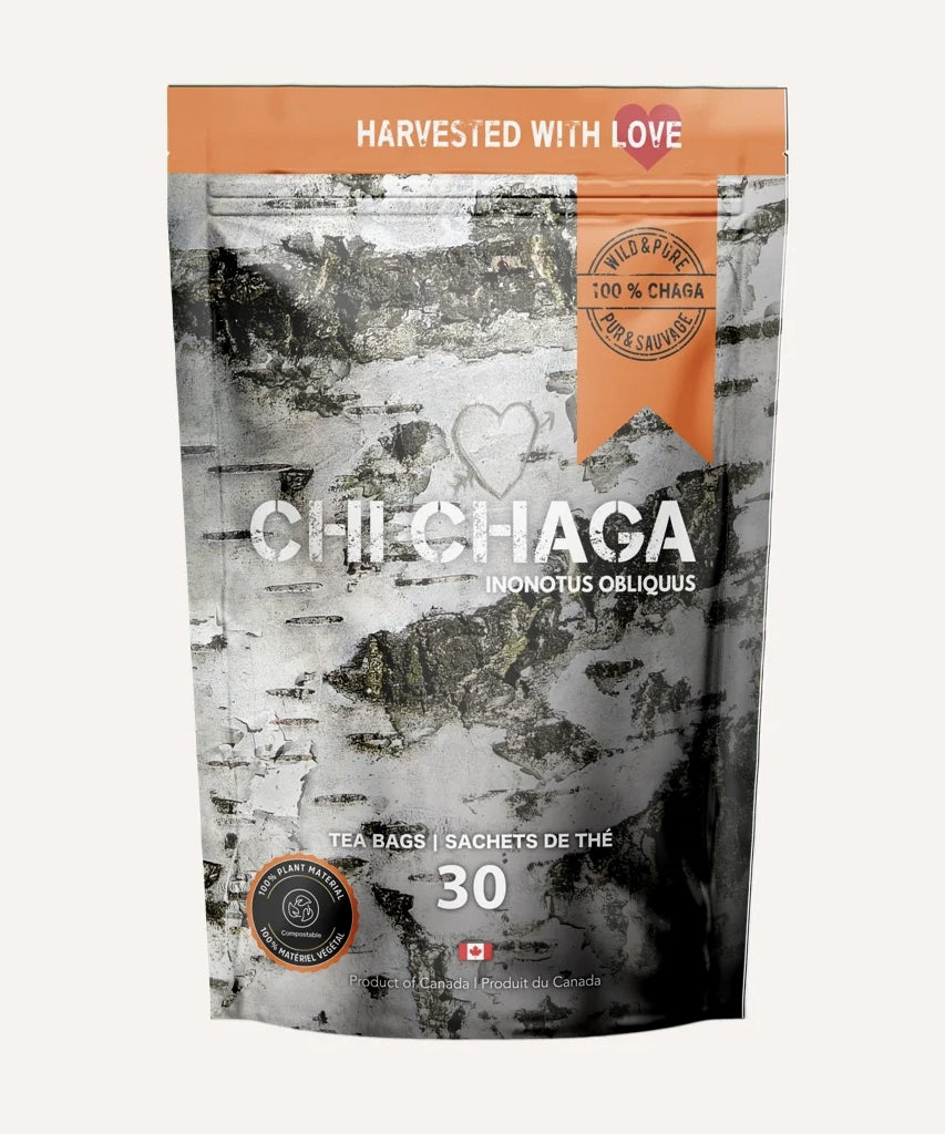 Thé au champignon Chaga – 100 % sauvage & bio - Pour le soutien immunitaire et le bien-être - Chi Chaga - 30 sachets