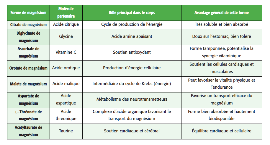 Magnésium 8 - 8 types de magnésium sans oxyde - New Roots - 90 capsules