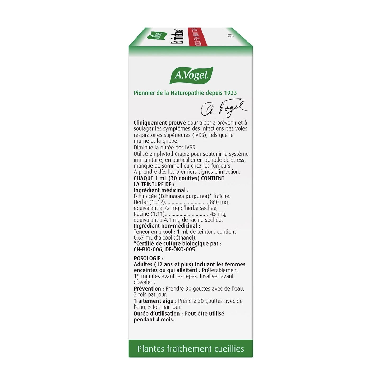 Echinaforce liquide - Soutient le système immunitaire - A.Vogel - 100ml