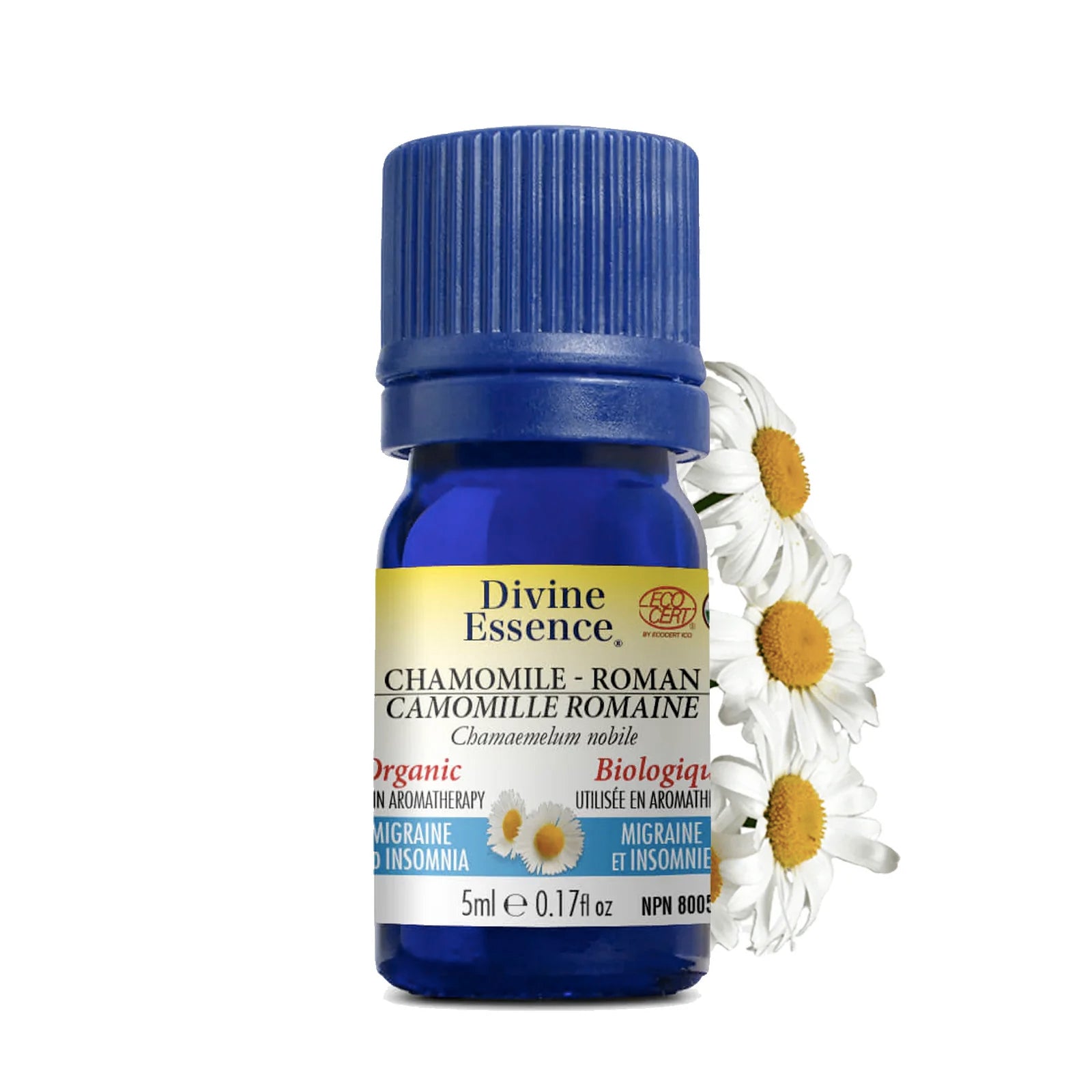 Camomille Romaine Noble Biologique (Migraine et Insomnie) - Divine Essence - 5ml
