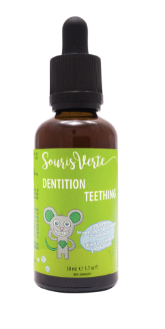 Dentition - Souris Verte