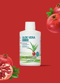 Aloe Vera - Jus - Grenade - Land Art - 500ml