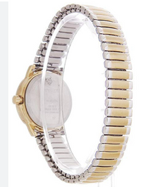Montre Timex pour femmes T2H381