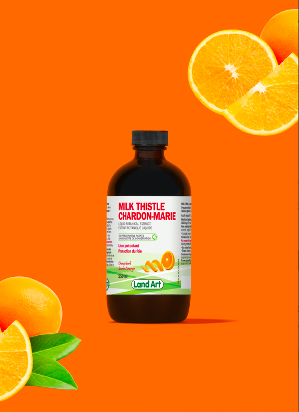 Chardon-Marie - Extrait Botanique Liquide 250ml - Écorce d'orange- Land Art