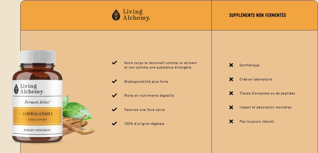 Ashwagandha - Living Alchemy - 60 capsules