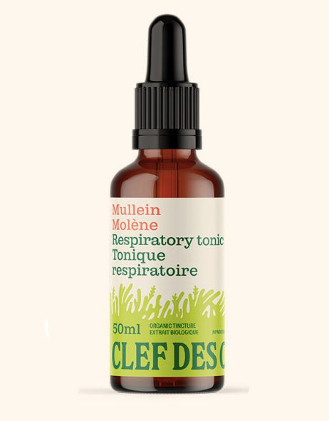 Molène - Tonique respiratoire - Clef des champs - 50ml ou 100ml