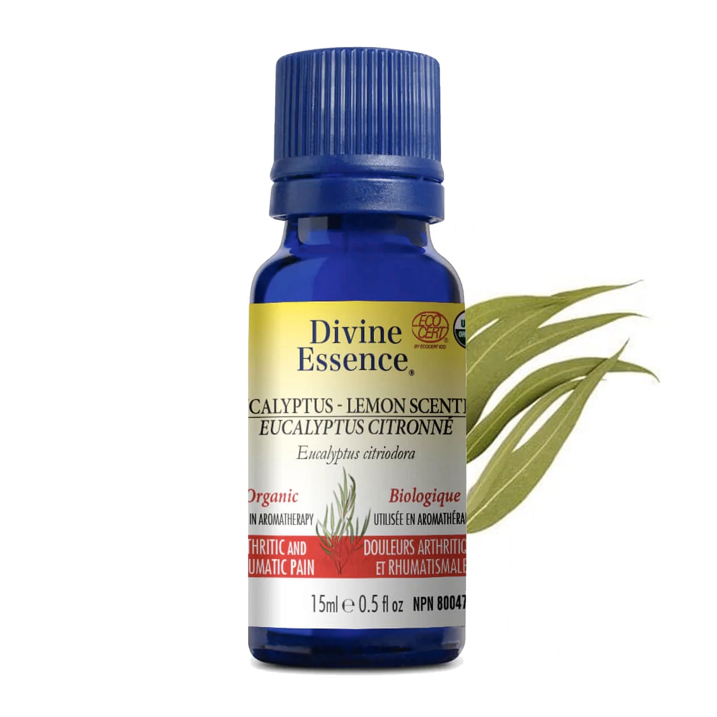 Huile Essentielle - Eucalyptus Citronné Biologique - Divine Essence - 15ml