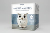 Diffuseur d'aromathérapie ultrasonique - Sagesse Magique - Essencia