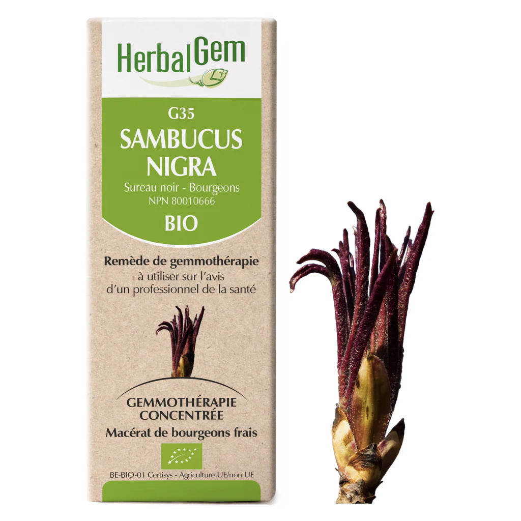 G35 - Sambucus Nigra - Sureau Noir - Herbalgem - 15ml