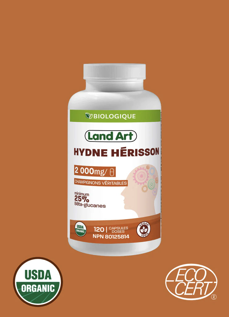 Hydne Hérisson Bio - Lion's Mane - Land Art - 120 capsules