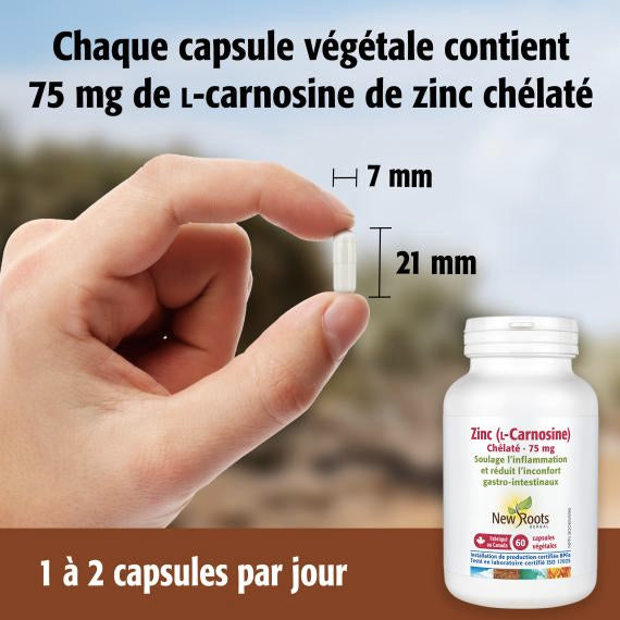 Zinc L-Carnosine - Soulage l'inflammation gastro-intestinale · Réduit l'inconfort gastro-intestinal - New Roots - 60 capsules