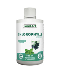Chlorophylle régulière - Land Art - 500ml - Menthe